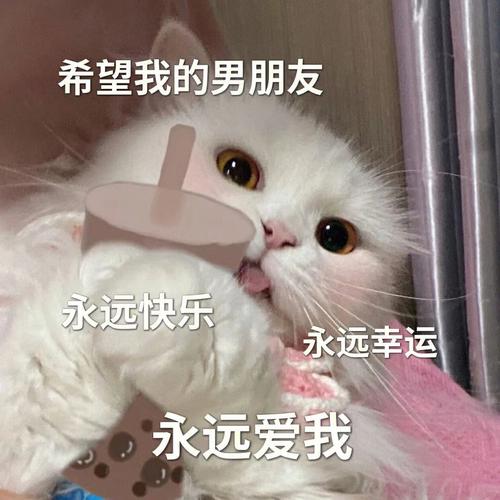 希望我的男朋友 永远快乐 永远幸运 永远爱我