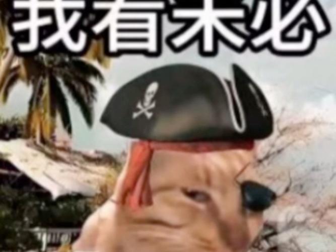我有木必：小可爱的表情包分享与合集