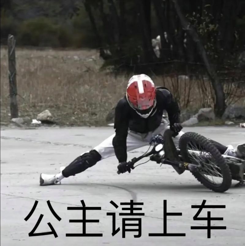 公主请上车