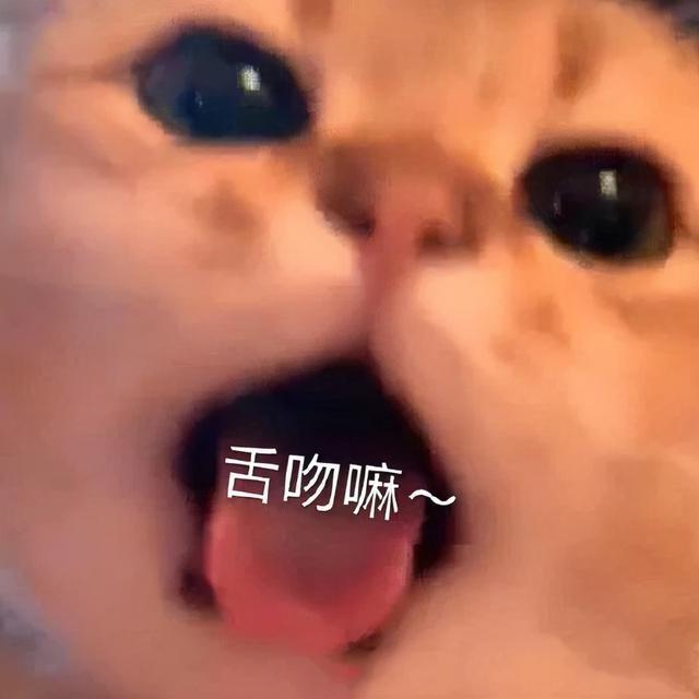 舌吻嘛~