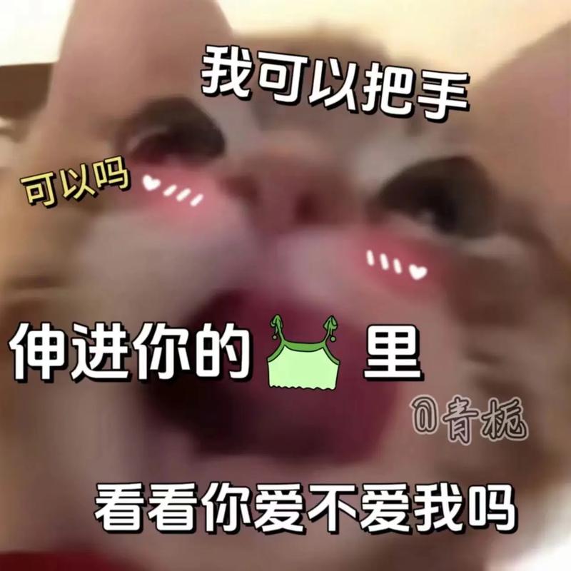 我可以把手 可以吗 伸进你的 里 青抚 看看你爱不爱我吗