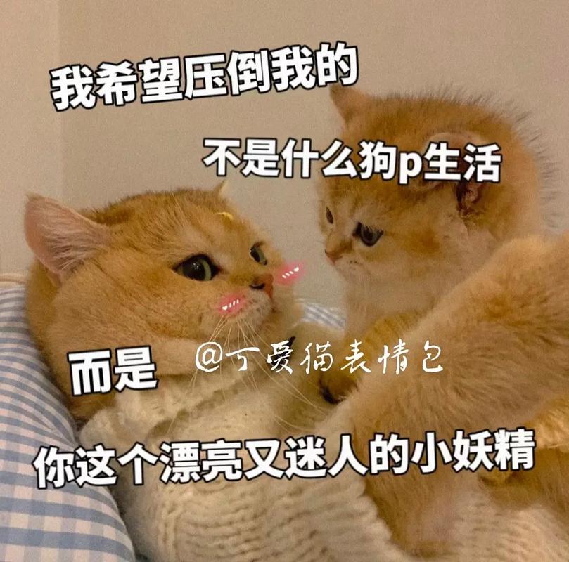我希望压倒我的 不是什么狗p生活 @丁爱猫表情包 而是 你这个漂亮又迷人的小妖精