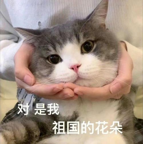 对是我 祖国的花朵
