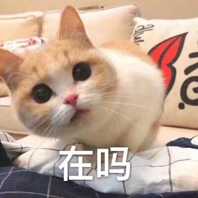 在吗