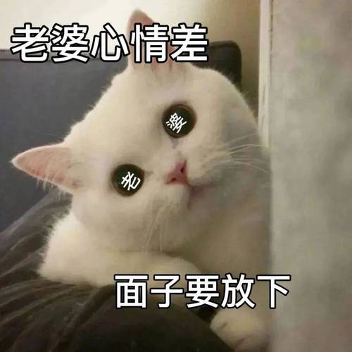 老婆心情差 面子要放下