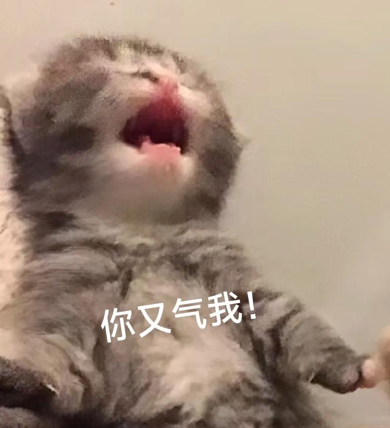 你又气我！