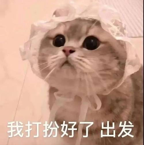 我打扮好了出发