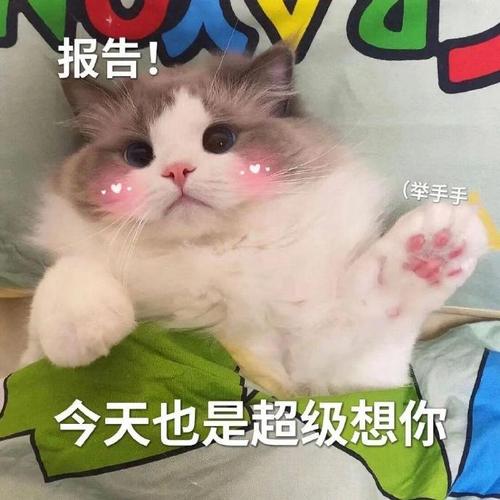 报告！ （举手手 今天也是超级想你