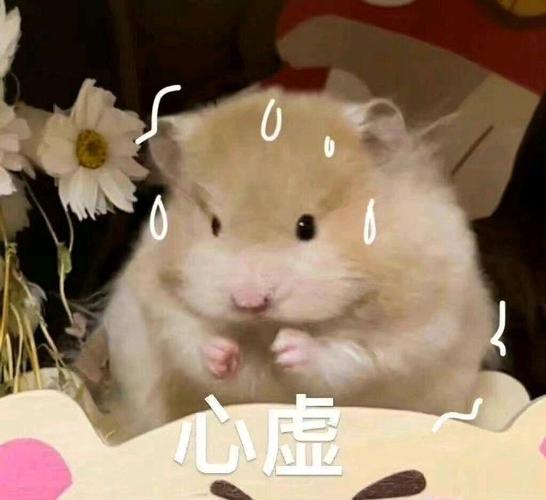 心 虚