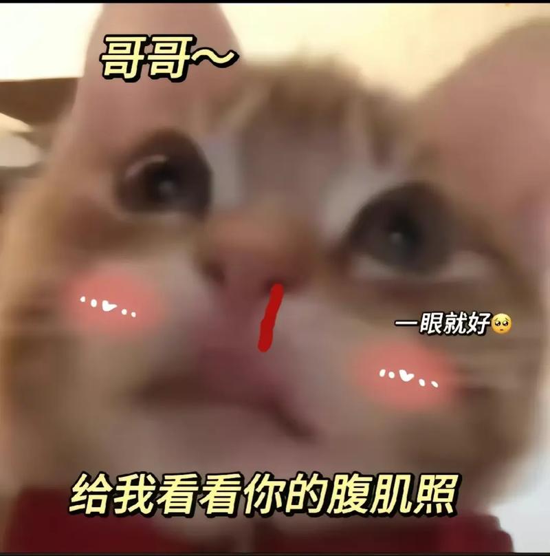 哥哥~ 一眼就好 给我看看你的腹肌照