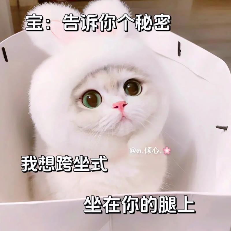宝：告诉你个秘密 @n.倾心 我想跨坐式 坐在你的腿上