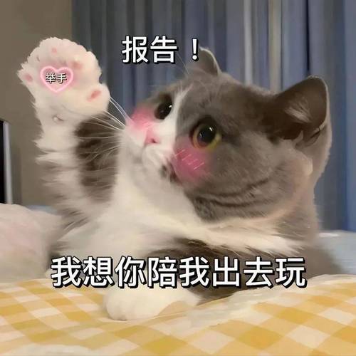报告！ 举手 我想你陪我出去玩