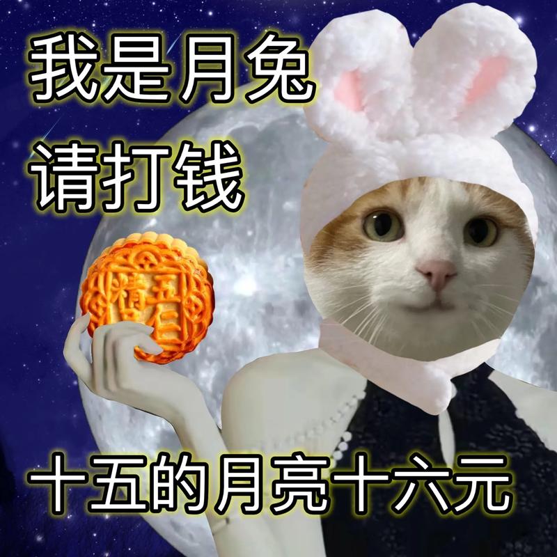 我是月兔 请打钱 十五的月亮十六元