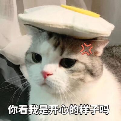 你看我是开心的样子吗