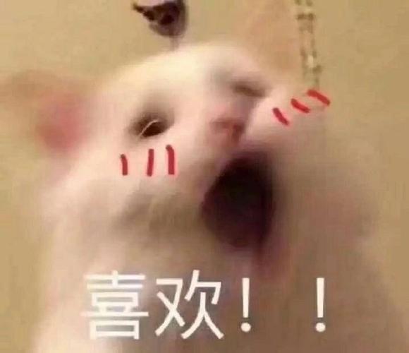 喜欢！！