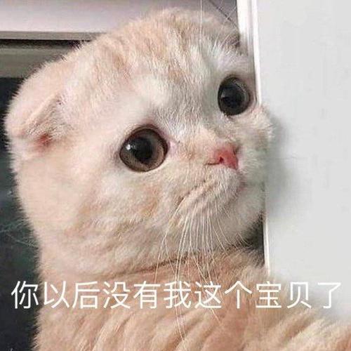 你以后没有我这个宝贝了