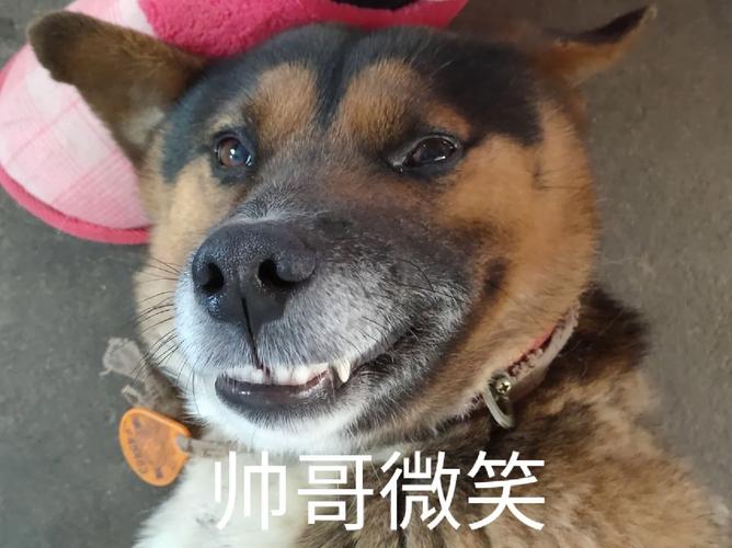 帅哥微笑