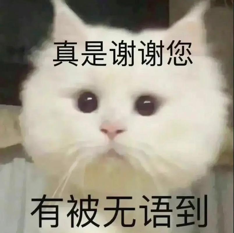 真是谢谢您 有被无语到