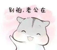 别怕，老公在