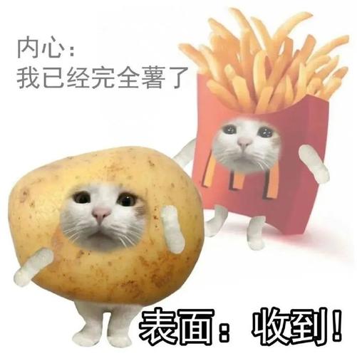 内心： 我已经完全薯了 表面： 收到！