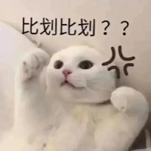 比划比划？？