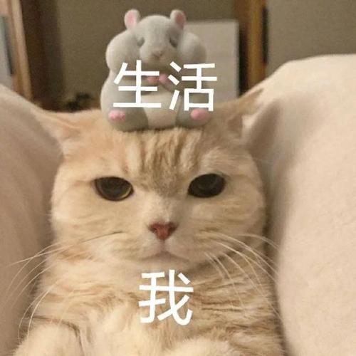 生活 我