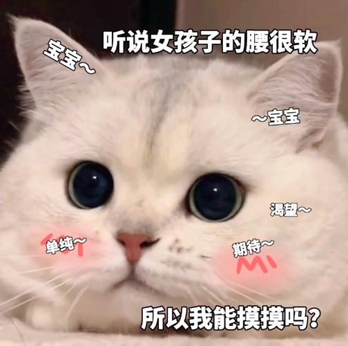 宝宝~ 听说女孩子的腰很软 ~宝宝 涛望~ 单纯~ 期待~ 所以我能摸摸吗？