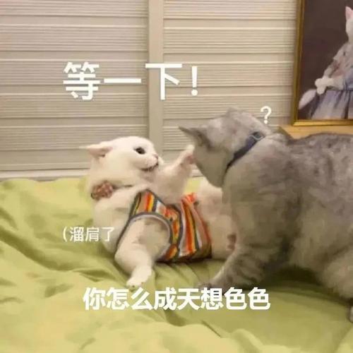 等一下！ （溜肩了 你怎么成天想色色