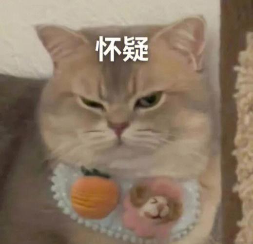 怀疑 福