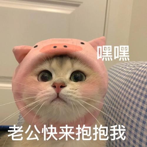 嘿嘿 老公快来抱抱我