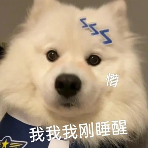S 懵 我我我刚睡醒