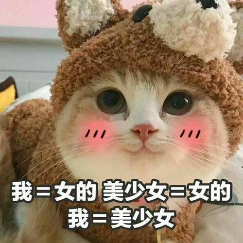 我=女的美少女=女的 我=美少女