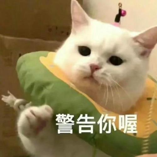 超可爱表情包警告你喔