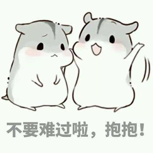 不要难过啦，抱抱！