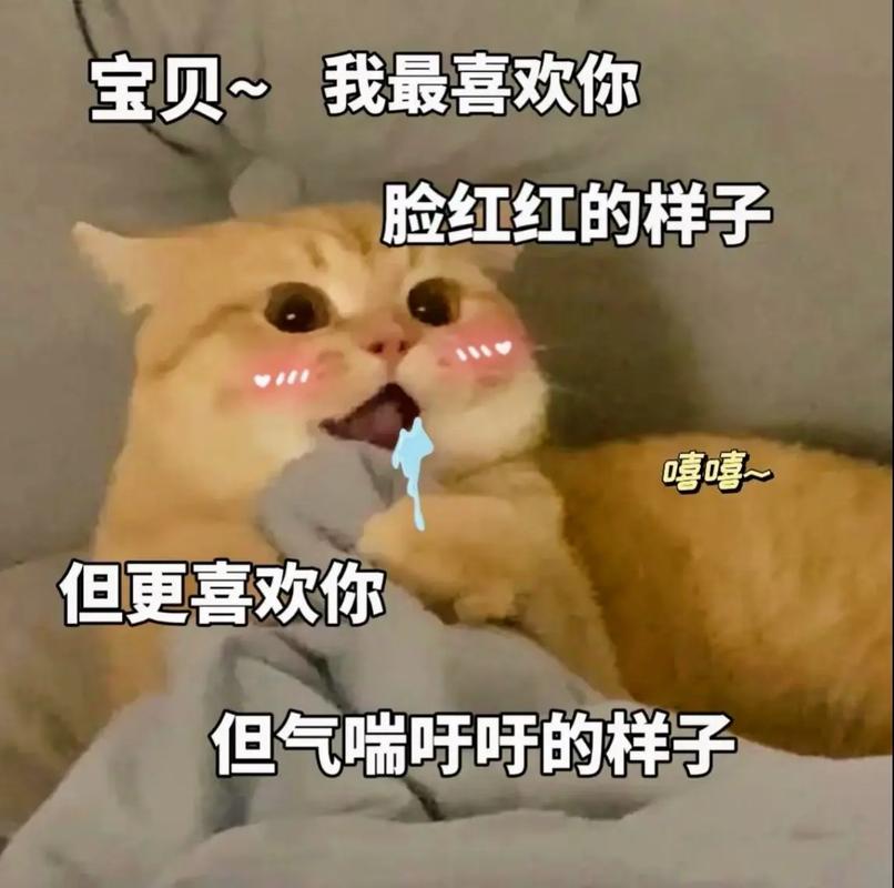 宝贝~ 我最喜欢你 脸红红的样子 嘻嘻~ 但更喜欢你 但气喘吁吁的样子