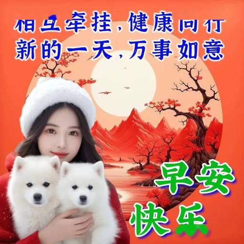 阳丘牵挂 健康同行——每日问候 送上温暖与美好
