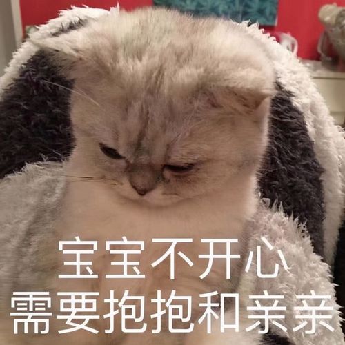宝宝不开心 需要抱抱和亲亲
