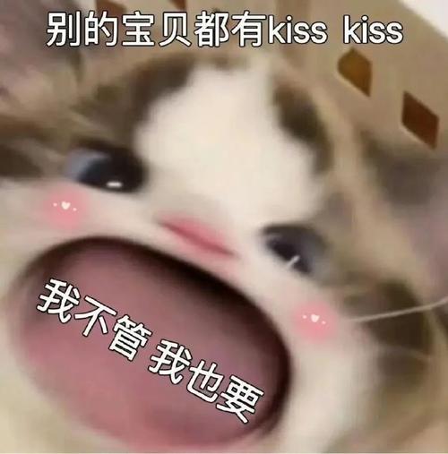 别的宝贝都有kisskiss 我不管我也要
