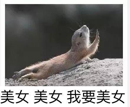 美女美女我要美女