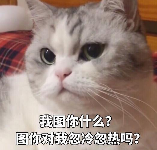 我图你什么？ 图你对我忽冷忽热吗？