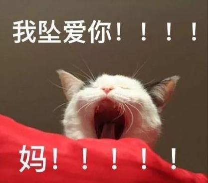 我坠爱你！！！！ 妈！！！！