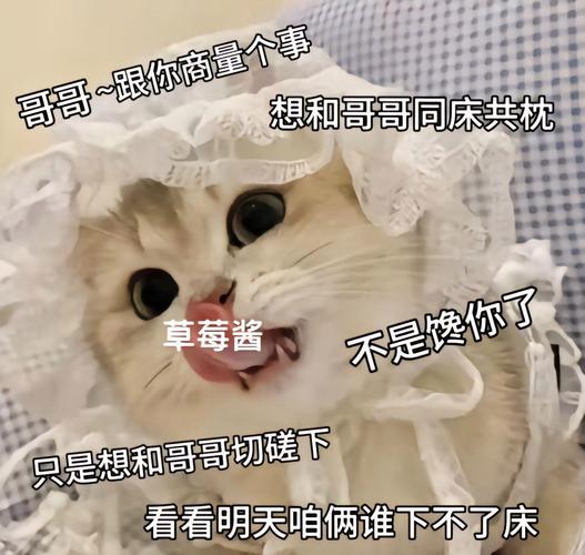 哥哥~跟你商量个事 想和哥哥同床共枕 草莓酱 不是馋你了 只是想和哥哥切罐下 看看明天咱俩谁下不了床