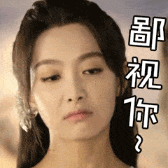 鄙视100