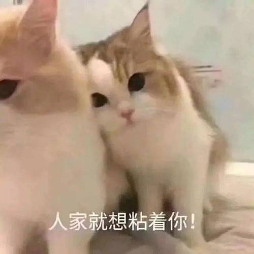 人家就想粘着你！
