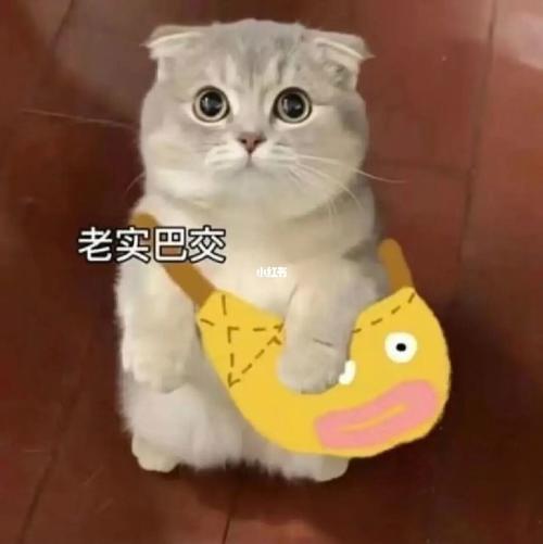 老实巴交的反差萌表情包：朴实可爱的表达方式