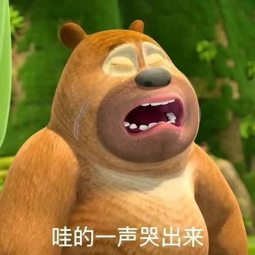 哇的一声哭出来的呆萌熊二可爱动漫表情包
