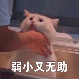 弱小又无助图片 弱小动态图下载 弱小表情包gif动图