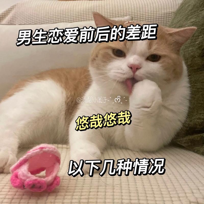 男生态爱前后的差距 @酒服小圈子 悠哉悠哉 以下几种情况