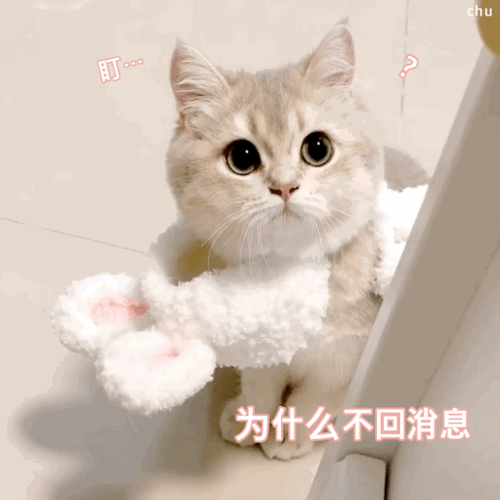为什么不回消息？狗血小说你脑海里浮现的第一本是什么？