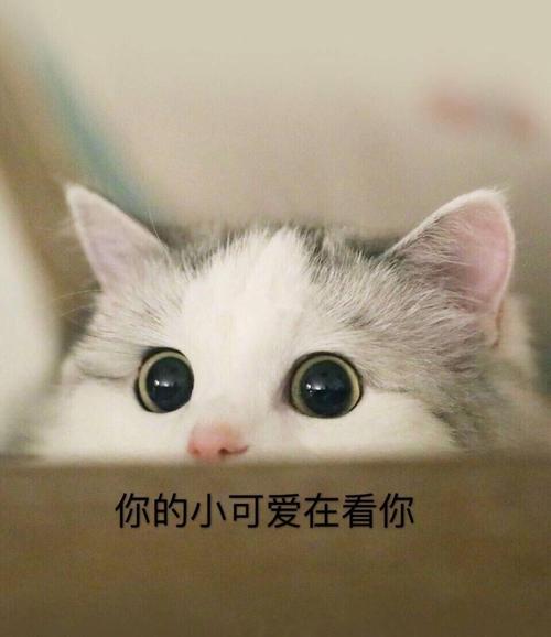 你的小可爱在看你的笔试强训7 - csdn博客